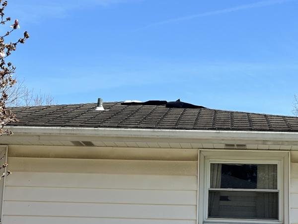 Forestal Roofing & Siding LLC