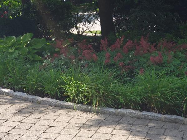 C.M. Landscaping