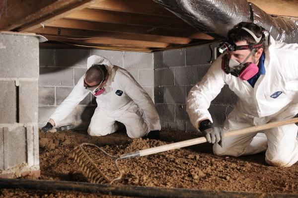 Priority Pest Services