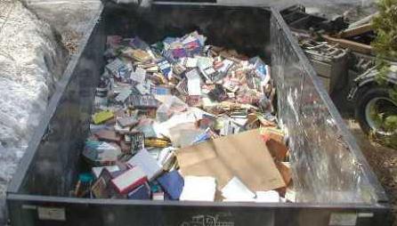 Dumpster Girl