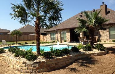 Jackson Pools