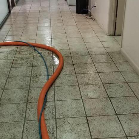 Clean Master Carpet Cleaning