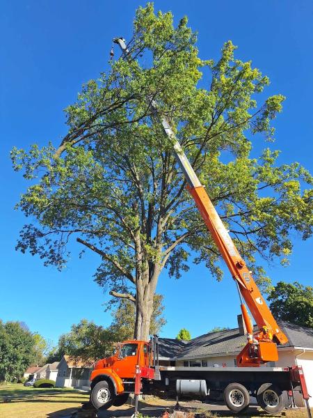 The 1 Tree Service