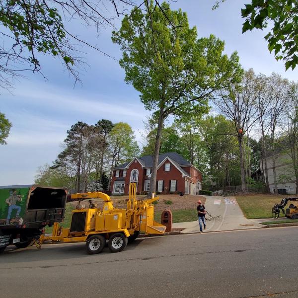 Trinity Tree Service LLC