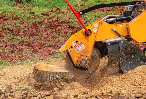 FTL Tree Services