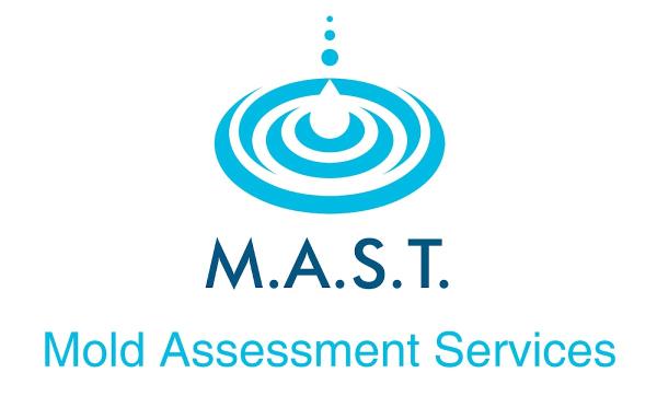 Mast Inspections