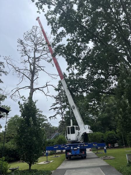 Monkey Tree Service LLC