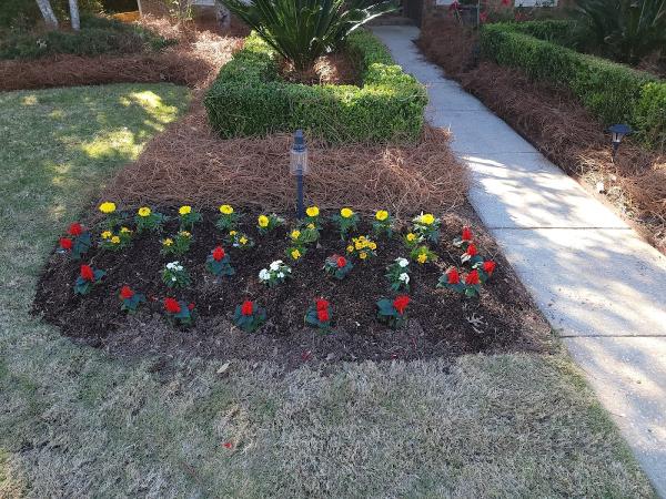 Champion Lawn and Landscape