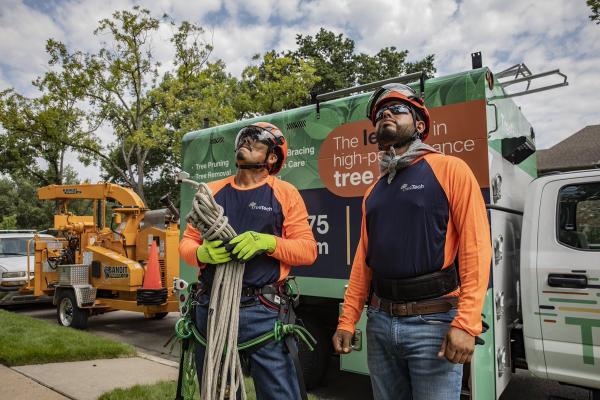 Treetech TX