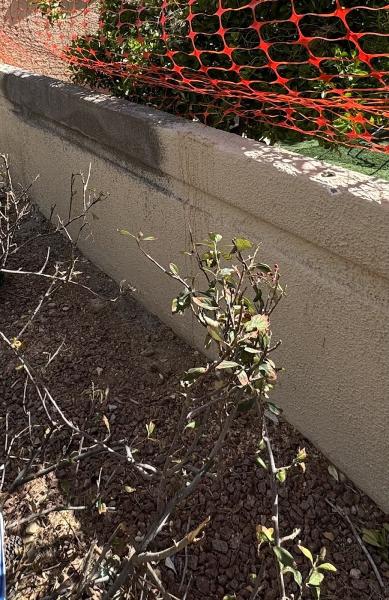 AAA Masonry Inc.