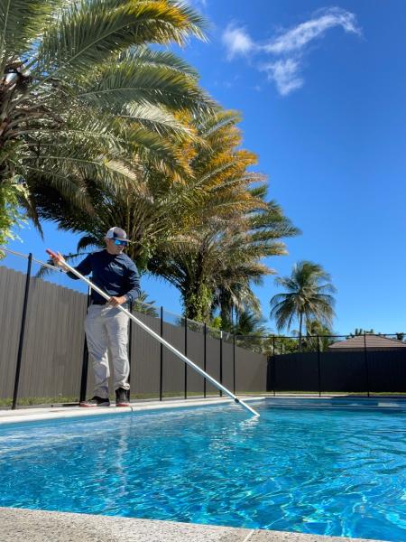 Blue Dolphin Pool Service Corp.