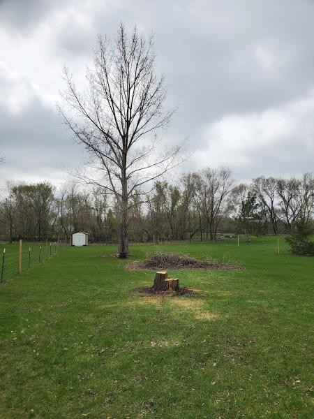 Great View Tree Service