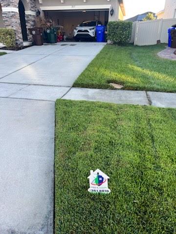 Town and Country Pest Solutions