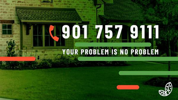 All-State Pest & Lawn