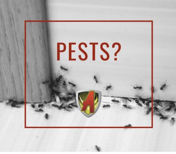 All-State Pest & Lawn