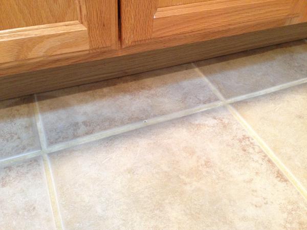 Perfecta Carpet Cleaning