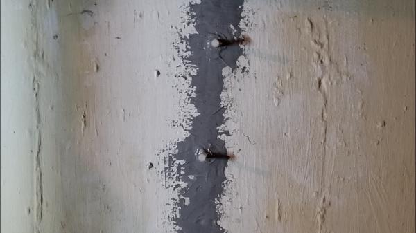 Areawide Waterproofing