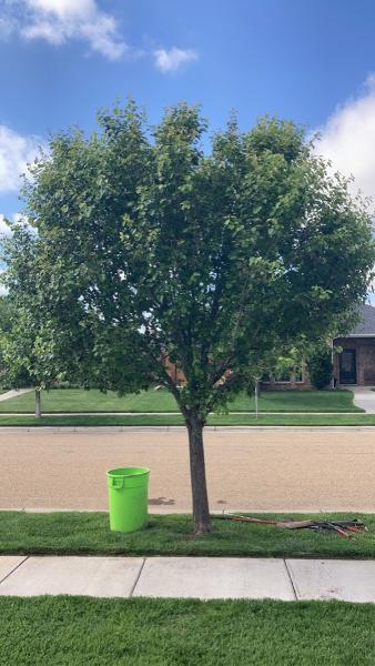 Truelife Lawn Care and Landscaping