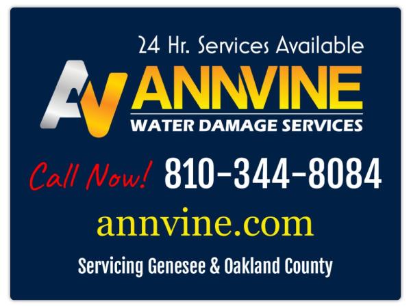 Ann Vine Water Damage Services