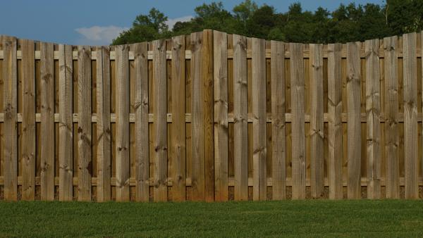 Artistic Fence