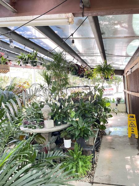Archie's Gardenland