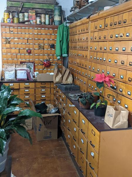 Archie's Gardenland