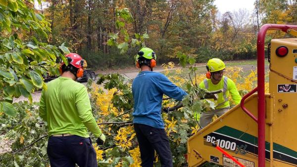 T&T Tree Service