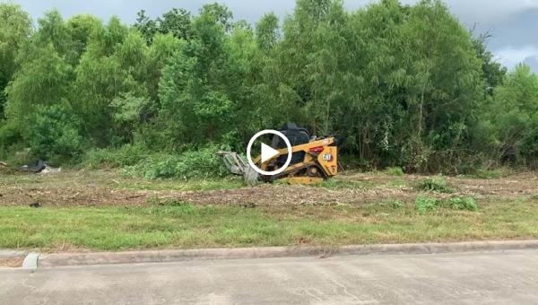 Tree Care Professional LLC