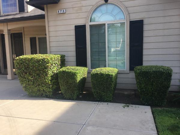 Brian's Lawn Maintenance