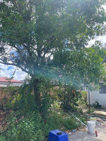 Tree and Landscape Mastery LLC