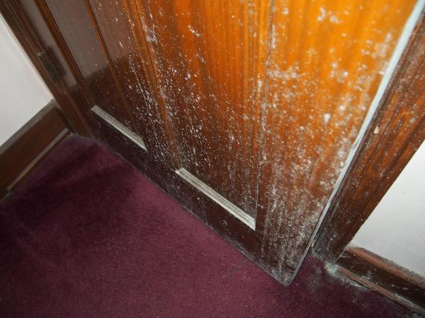 Eagle Eye Home Inspection