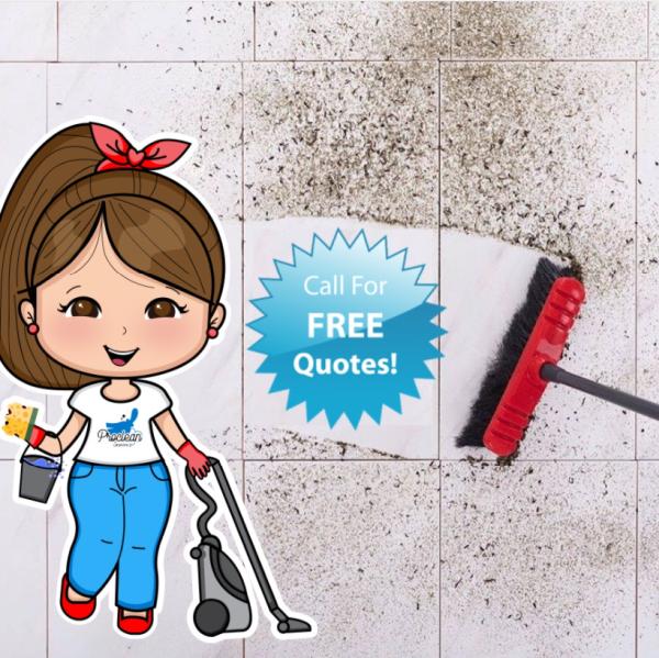 Proclean Services