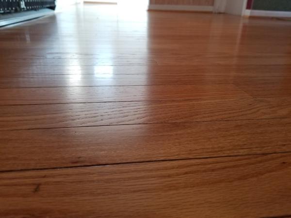 Wood Floors By Brian Galebach