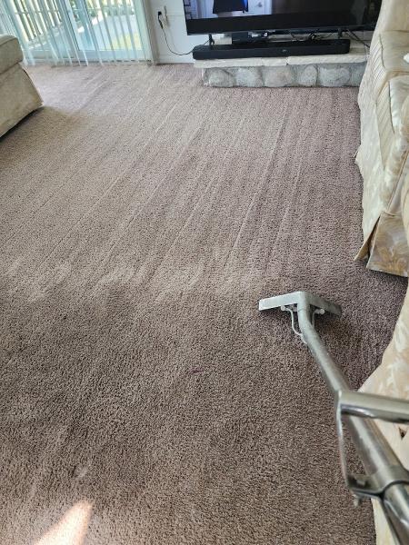 MRI Carpet Cleaning Services