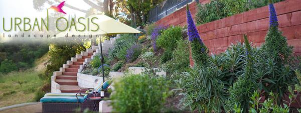 Urban Oasis Landscape Design