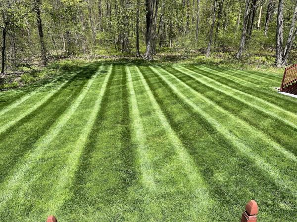 Cesar's Lawn Maintenance and Masonry