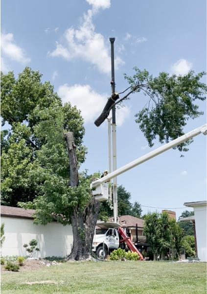Roe's Outdoor Services Inc.