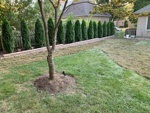 Roe's Outdoor Services Inc.