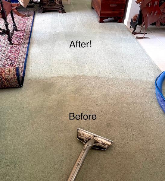 Overlyclean LLC Carpet
