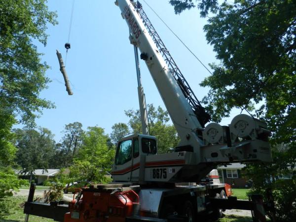 Timberline Expert Tree Service