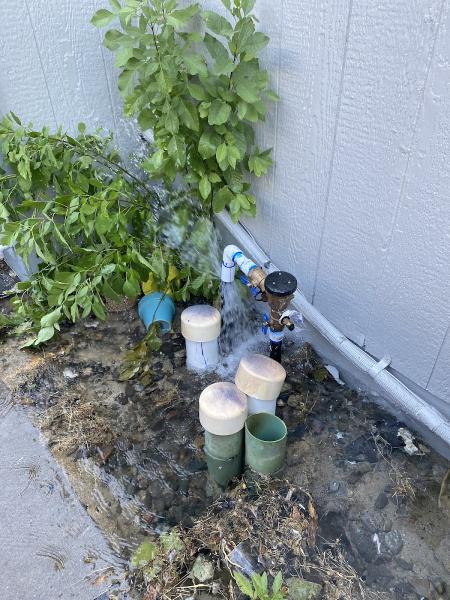 Sprinkler Authority (Reno
