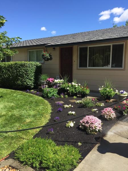 Olson Brother's Roofing LLC