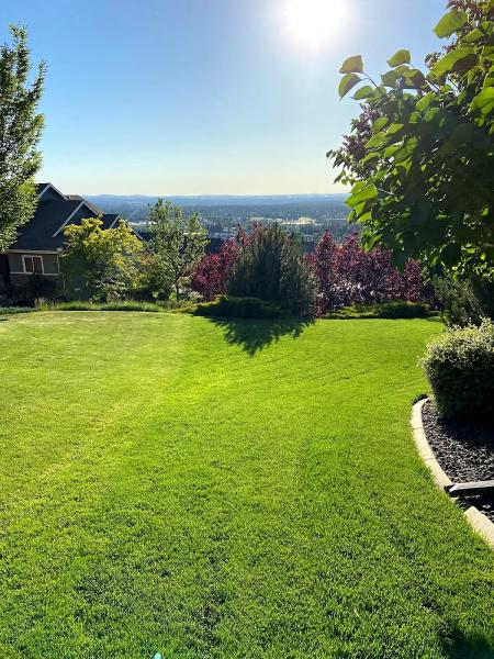 White Tail Lawn and Plow LLC