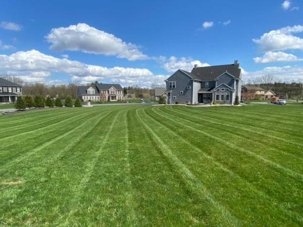 A Brand New Leaf Landscaping and Mowing
