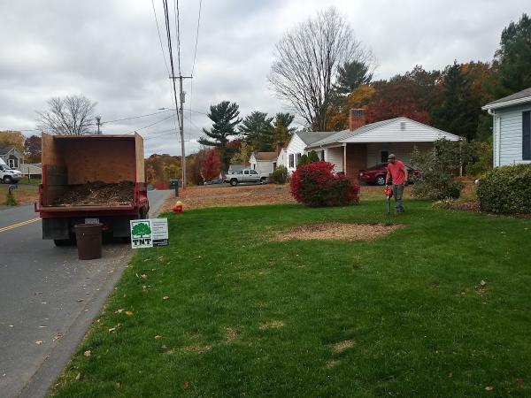 TNT Expert Tree Services