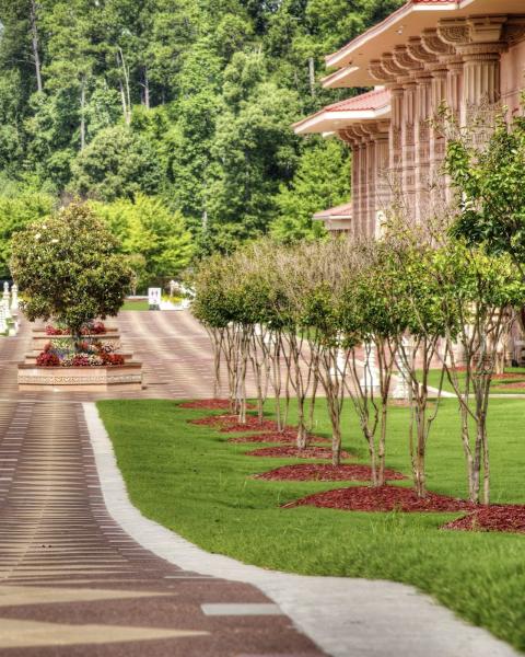Detail Lawn Care Contractor
