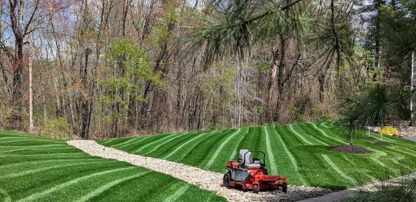 Lawns