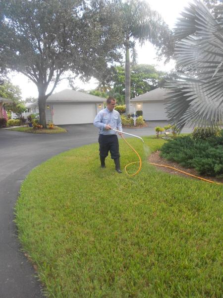 American Allegiance Pest Control