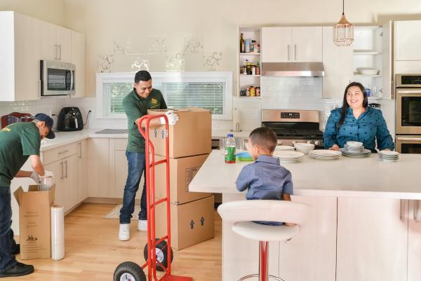 Lion Movers LLC