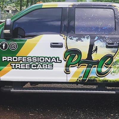Professional Tree Care